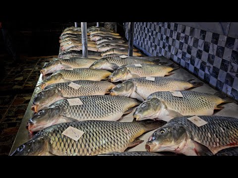 سمك المسكوف وجبة عراقية تقليدية من بغداد العراق