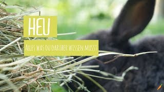 Heu- Alles Was Ihr Wissen Müsst