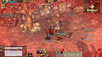 TOS PvP-003 - Hunter 1v1 Priest