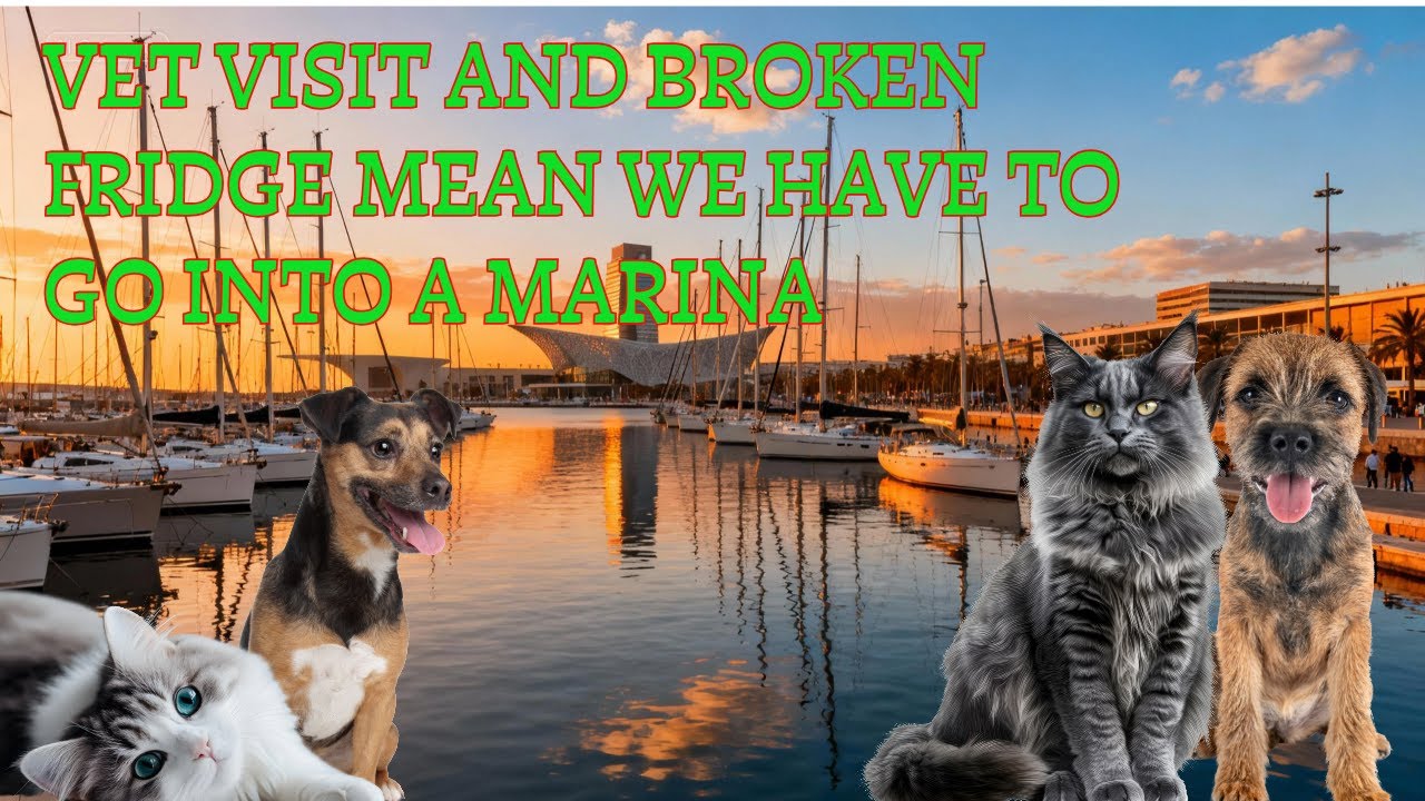 Liveaboard Sailing With Pets - Fridge Dies, Food Spoils & We Need a Vet... Marina Emergency