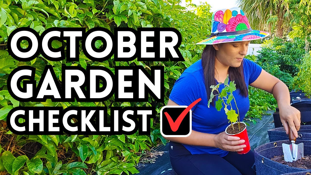 10 Garden Tasks You MUST Do In October For A Successful Fall Garden ...