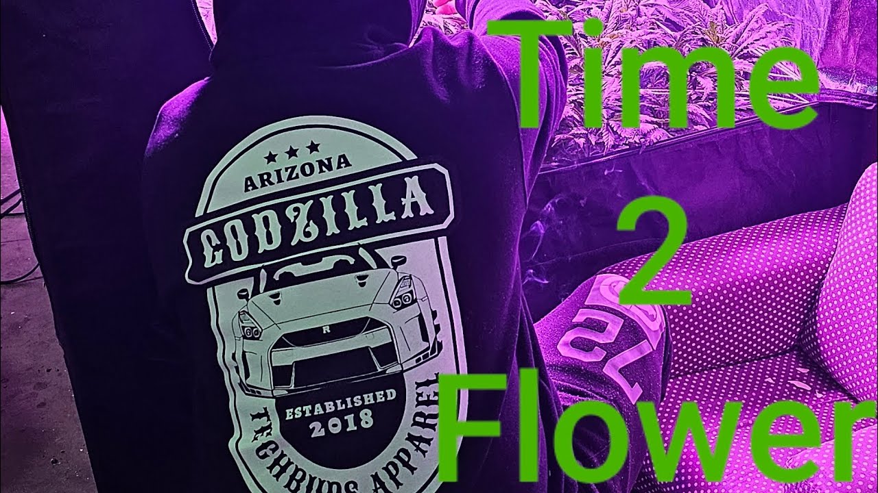 FINALLY WEEK 1 OF FLOWER, LAST WEEK WITH THIS LIGHT howtogrow 