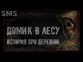 Страшная история про деревню. Домик в лесу. Страшилки.