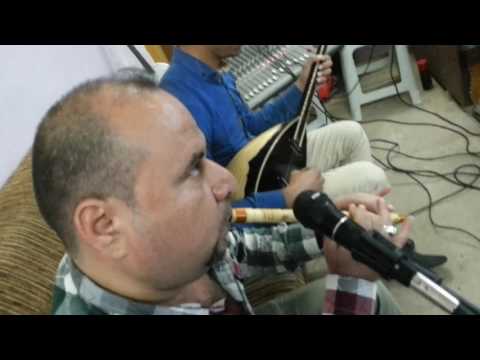 مفيد غني كه ل ايرلما مه نه ن