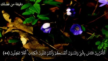 سورة البقرة من الاية(43)الى الاية(47)