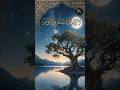 ayatul kursi #education #learning #Iman #Quran #Islamic #Islam #shorts #short #yt #motivational