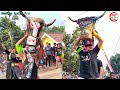 Banteng BELDEK!! Super Ucul Mudun Kalangan | New Satriyo Putro Live Bugasur Gudo Jombang