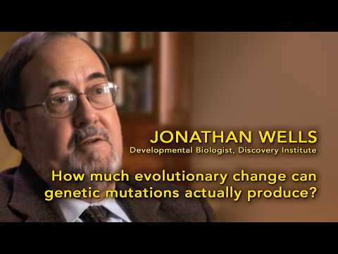 20. How much evolutionary change can genetic mutations actually produce?