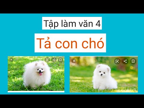 Video Tả con chó - Tập làm văn 4, 5 - youtube