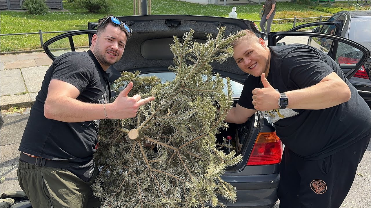 ABSOLUTER ENDLEVEL SEIBT MEIWES MUMPITZ