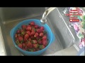 #2 Cómo lavar y desinfectar fresas