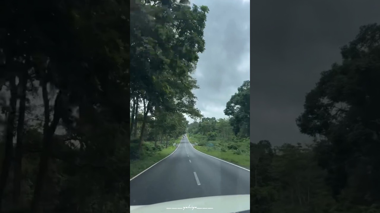 Nagarahole Tiger Reserve | Deep Forest Road | Coorg to Kutta road | Mysore, Karnataka | 13.06.2024