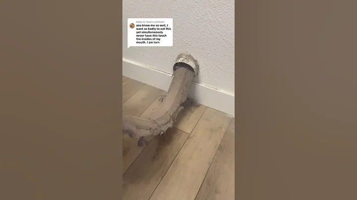 The Forbidden Soft Serve 🍦 #asmreats #oddlysatisfying #dryerventcleaning #cleantok #vacuumtherapy