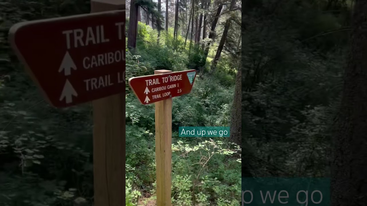 Family hike at Mineral Ridge, located in CDA, Idaho