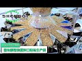 瓜子仁玉米粒自动称重装瓶生产线Automatic weighing and bottling production line for melon seeds, corn kernels