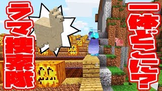【ぽこなかくら＃184】ラマが見つからない！！？一体どこへ…【マインクラフト】