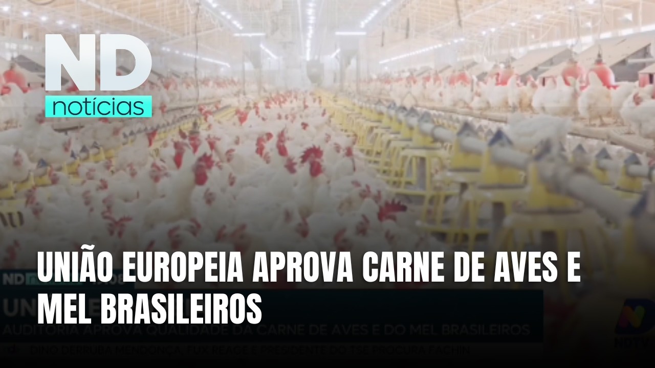 União Europeia avalia controles do Brasil e pode retomar as exportações