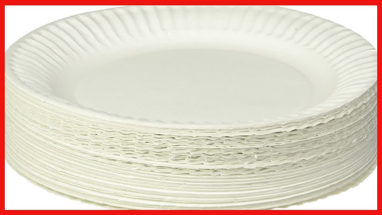 Empress Uncoated Paper Plate, 9 Inches, White, Pack of 100 - 1004997