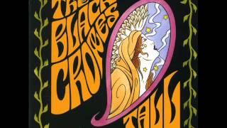 Watch Black Crowes Feathers video