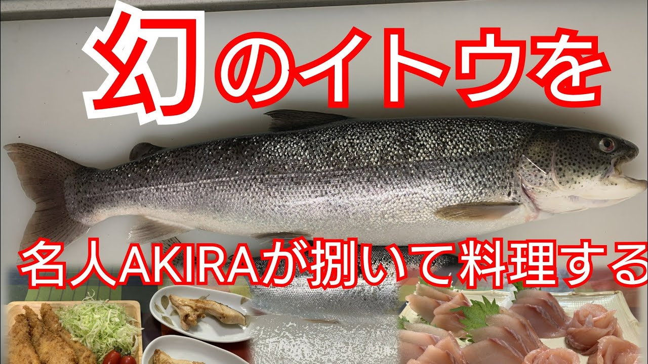 幻のイトウを名人AKIRAが捌いて料理する！焼き魚、フライ、刺身にしま