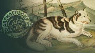 Connecting and Dividing: Dogs and Peoples in the Chesapeake Bay Region, 1600s-1800s
