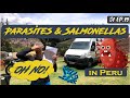 Parasites and salmonellas in peru   s1 ep19
