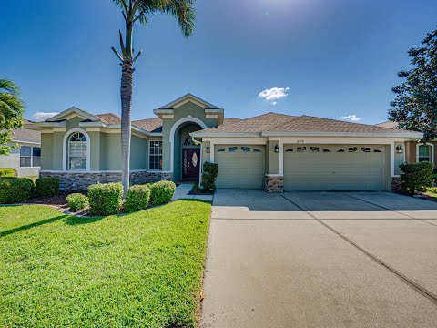 13712 Trinity Leaf Place, Riverview, FL home video tour