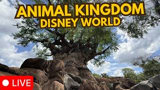 🔴 Live: Disney's Animal Kingdom Morning  -  Walt Disney World 05.22.2026
