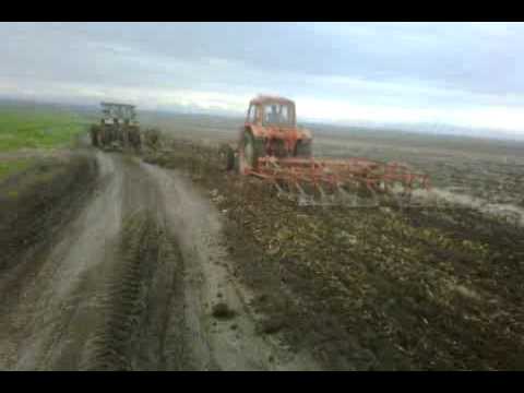 კულტივაცია