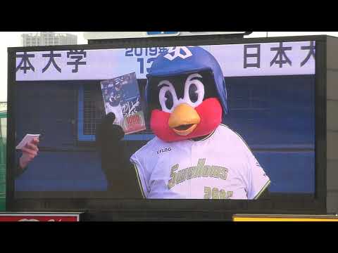 【CREW DAY2019】5/19：つば九郎／きょうのひとこと（さすらいのぎゃんぶらー）