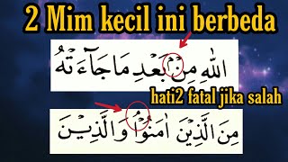 Learn How To Read Iqlab And Waqaf Lazim