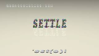settle - pronunciation + Examples in sentences and phrases