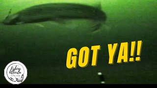 Ice Fishing For Northern Pike. Pike Strike Caught On Underwater Camera. (Northern Alberta)