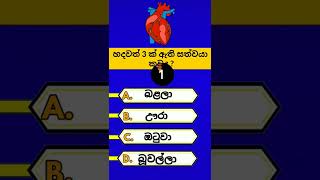 Interesting questions and answer | gk Sinhala | කෙටි ප්‍රශ්න අංක (3) | #shorts