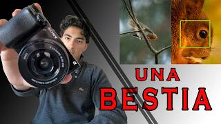 La mejor Sony Alpha para fotografía de naturaleza por menos de 700€ | Sony A6100