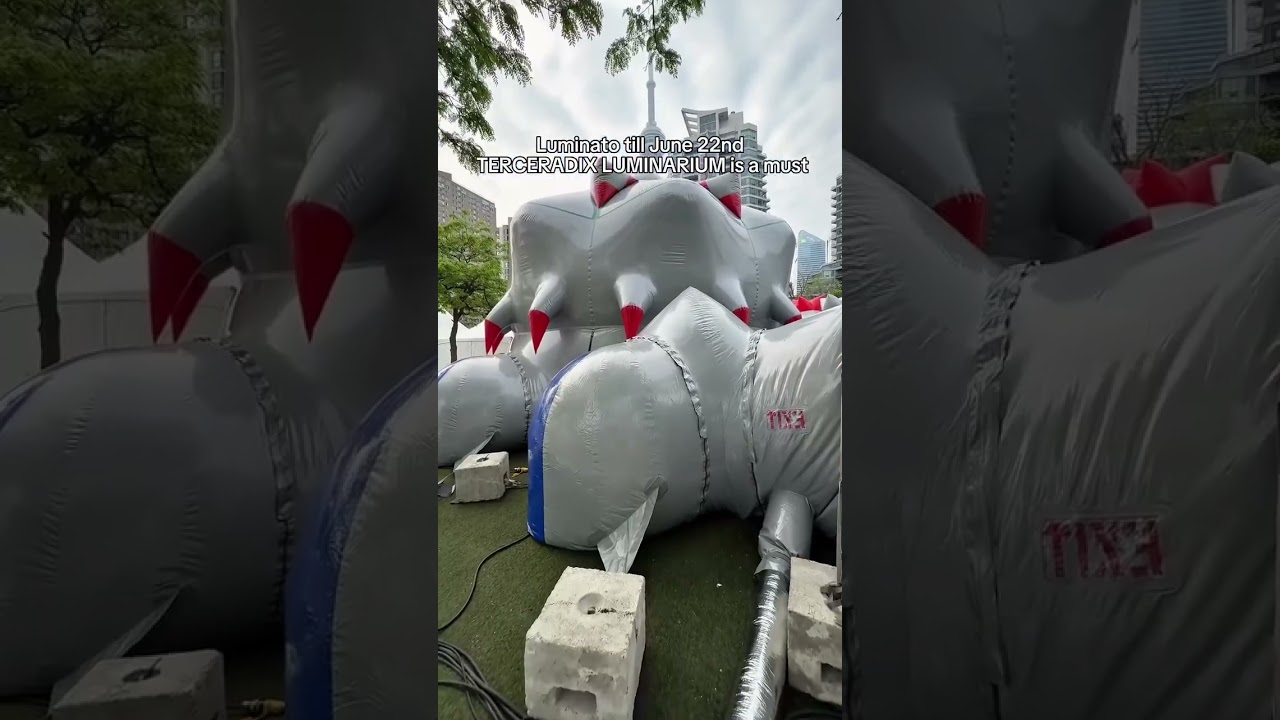 Todotoronto | Spend your day at Harbourfront Centre this Summer 