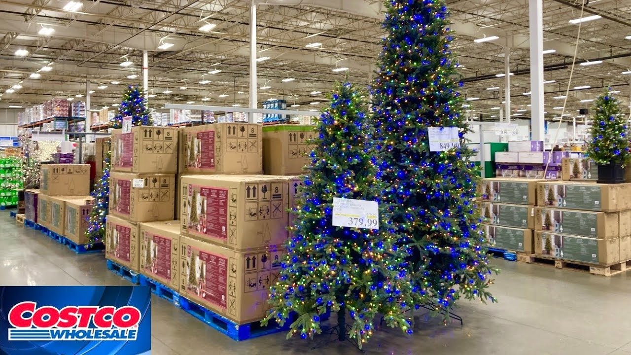 COSTCO CHRISTMAS DECORATIONS GIFTS GIFT IDEAS KITCHENWARE SHOP WITH ME