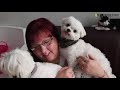 Mix Mups Cuddle Cafe Malton. 20th September 2019