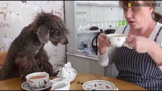 Mix Mups Cuddle Cafe Malton. 20Th September 2019