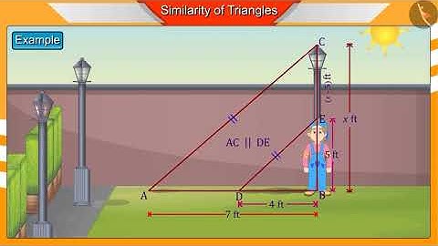Similar Triangles and the Basic Proportionality Theorem (BPT) | Part2/3 | English | Class10