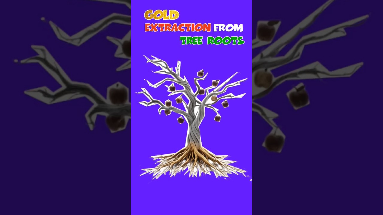 Gold extension from tree roots 🪙