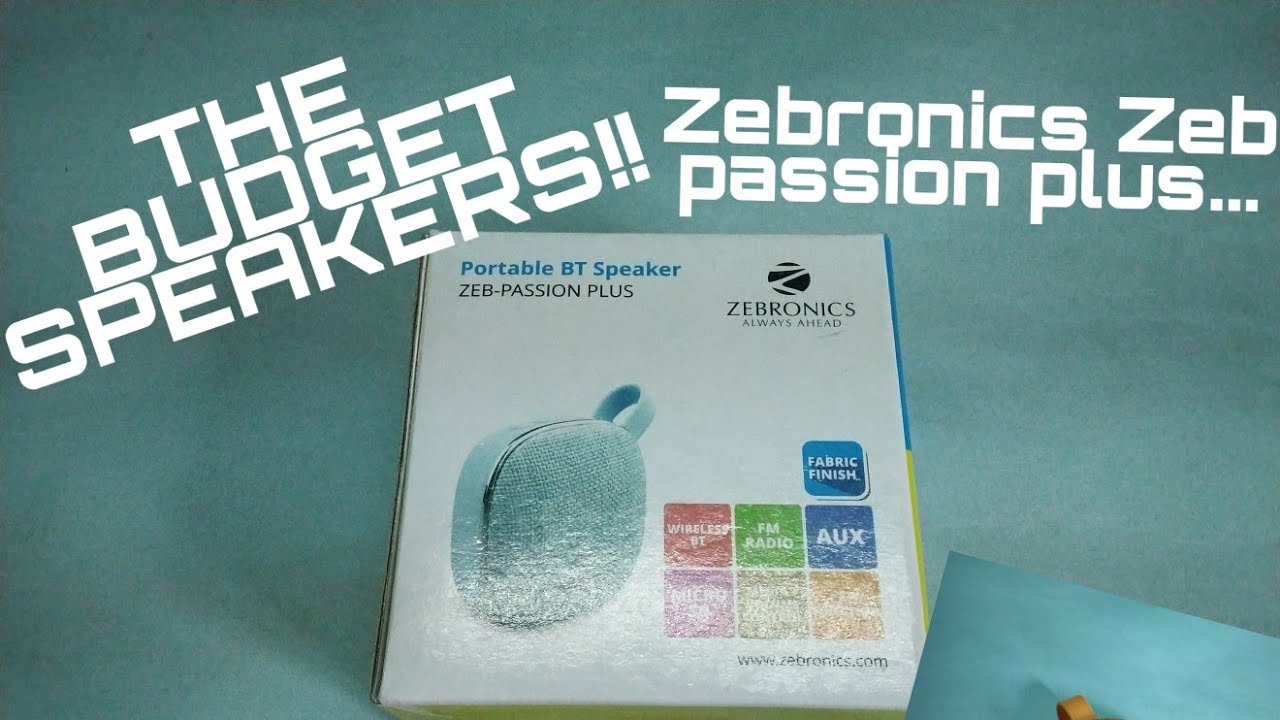 zebronics passion plus