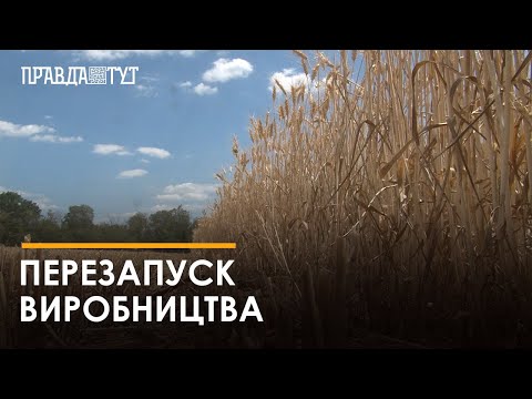 Понад 93% підприємств Кіровоградщини відновили роботу після початку повномасштабної війни