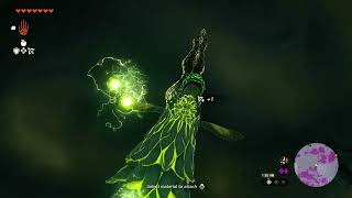 If you ever feel unlucky in Tears of the Kingdom, this happened to one of my friends. [Zelda TOTK]