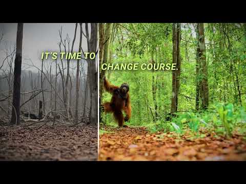 One Tree Planted Wins Its First Webby Award for Viral 'Meet the Moment' Campaign