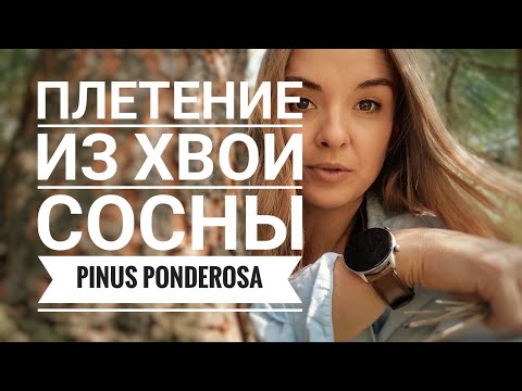 Плетение из СОСНЫ: красиво, просто и очень интересно! Узел 