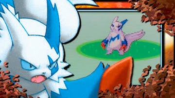 [ISHC #1] LIVE!! Shiny Zangoose slashed my sleepy face after 11,760 REs in Pokemon Ruby