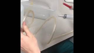 Manual Bladder Irrigation Bryce Yacos