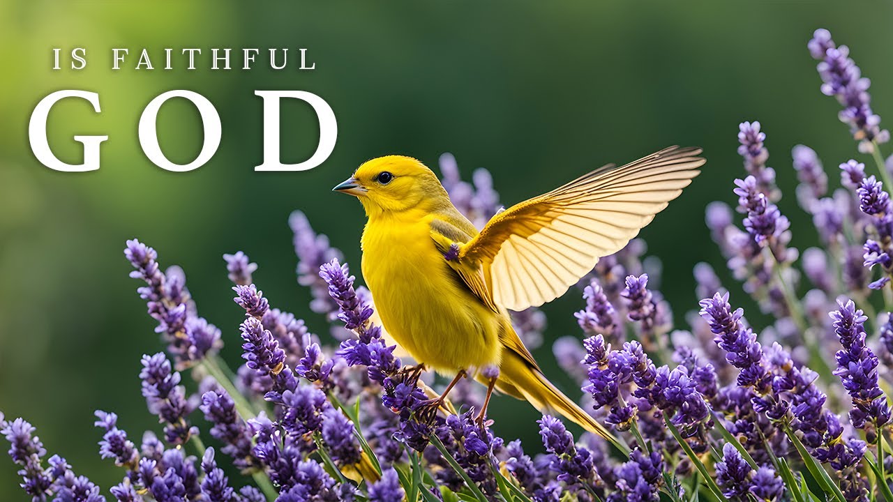GOD IS FAITHFUL | Soothing Gospel Piano & Calming Scriptures for Deep Prayer