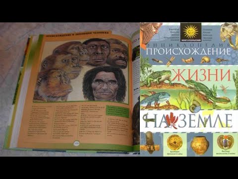 Обзор книги "Происхождение жизни на Земле" Микеле Лауро